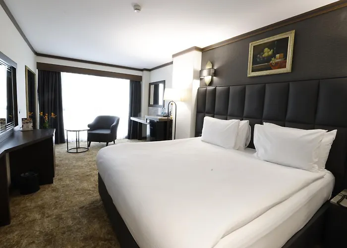 Park Dedeman Kizilay Hotel Ankara