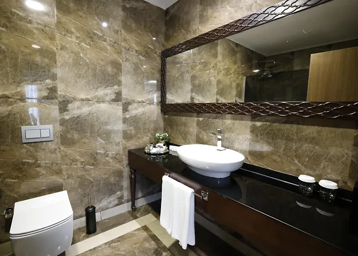 Park Dedeman Kizilay Hotel