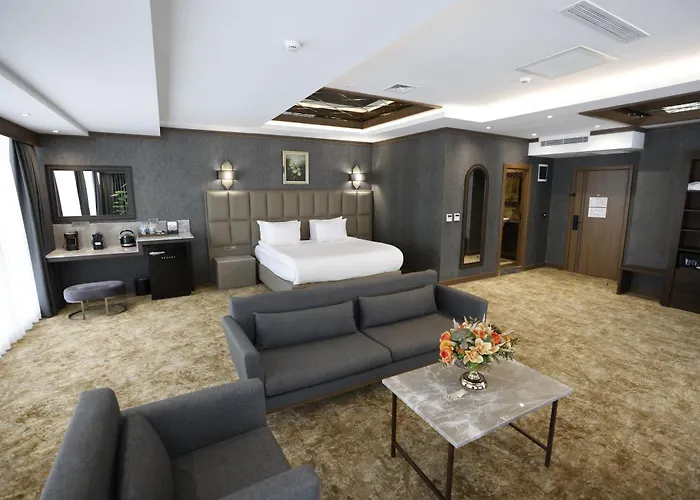 Hotel Park Dedeman Kizilay 4*