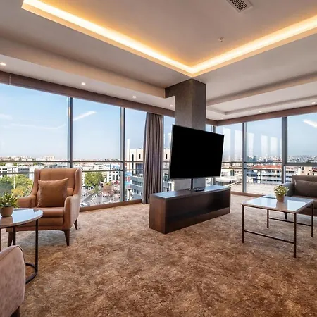 Park Dedeman Kizilay Hotel