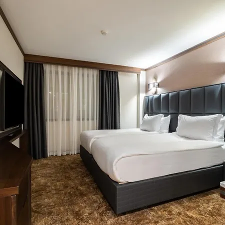 Hotel Park Dedeman Kizilay 4*