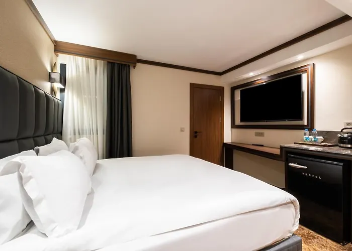 ホテル Park Dedeman Kizilay