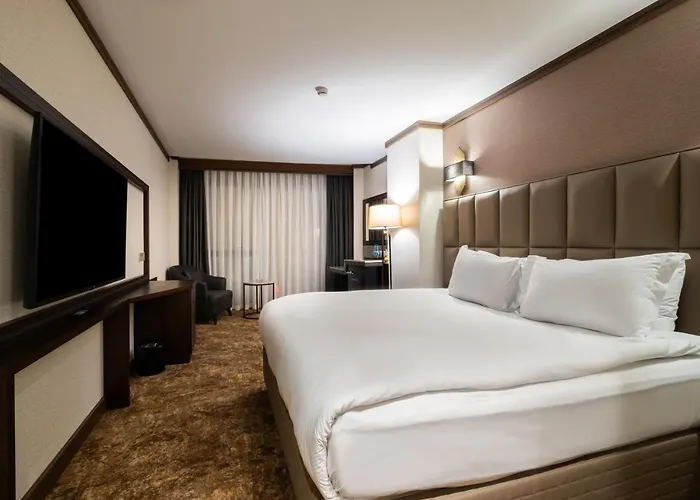 ホテル Park Dedeman Kizilay 4*