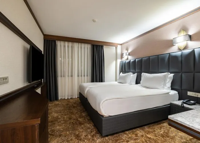 Hotel Park Dedeman Kizilay 4*