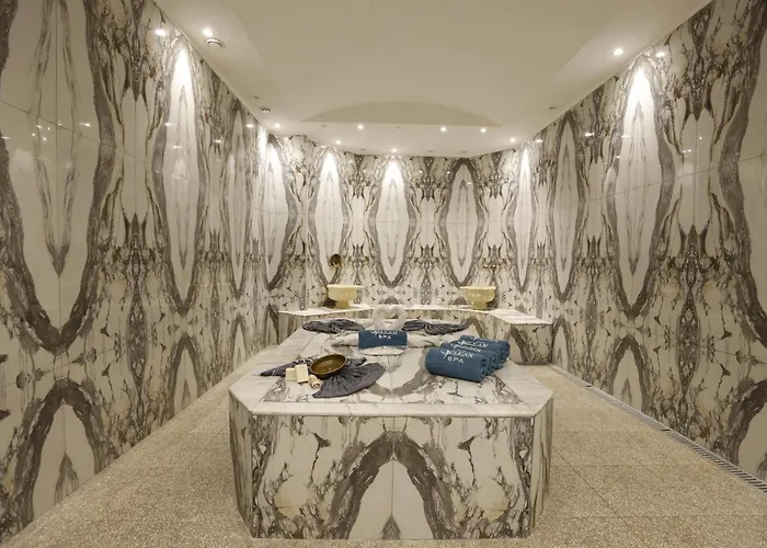 Hotel Park Dedeman Kizilay