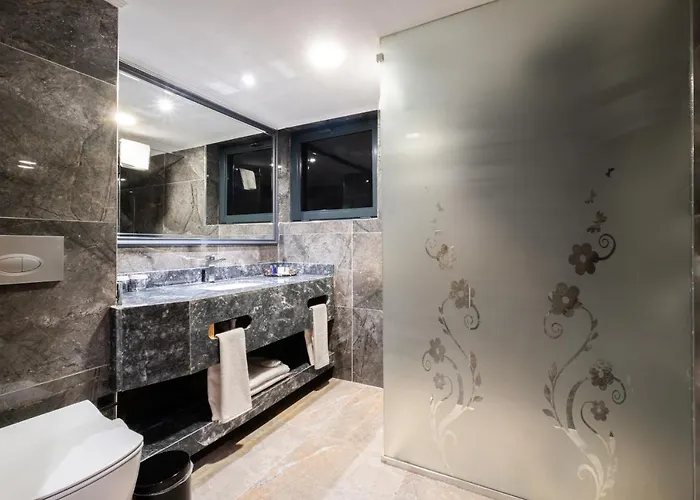 Park Dedeman Kizilay Hotel 4*