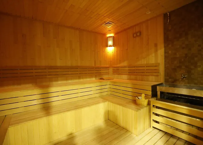 Park Dedeman Kizilay Hotel