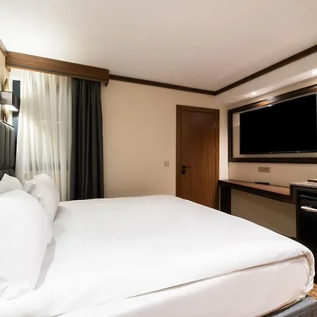 Hotel Park Dedeman Kizilay