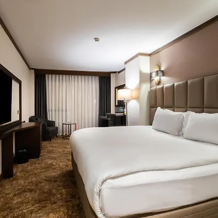 Hotel Park Dedeman Kizilay 4*