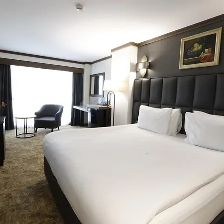 Park Dedeman Kizilay 호텔 앙카라