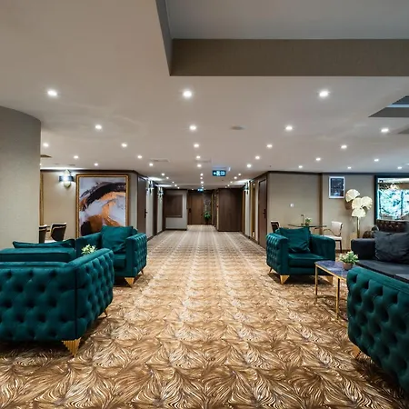 Park Dedeman Kizilay 호텔 4*